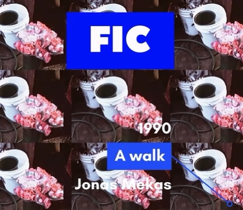 Festival Internacional Caminar (FIC)